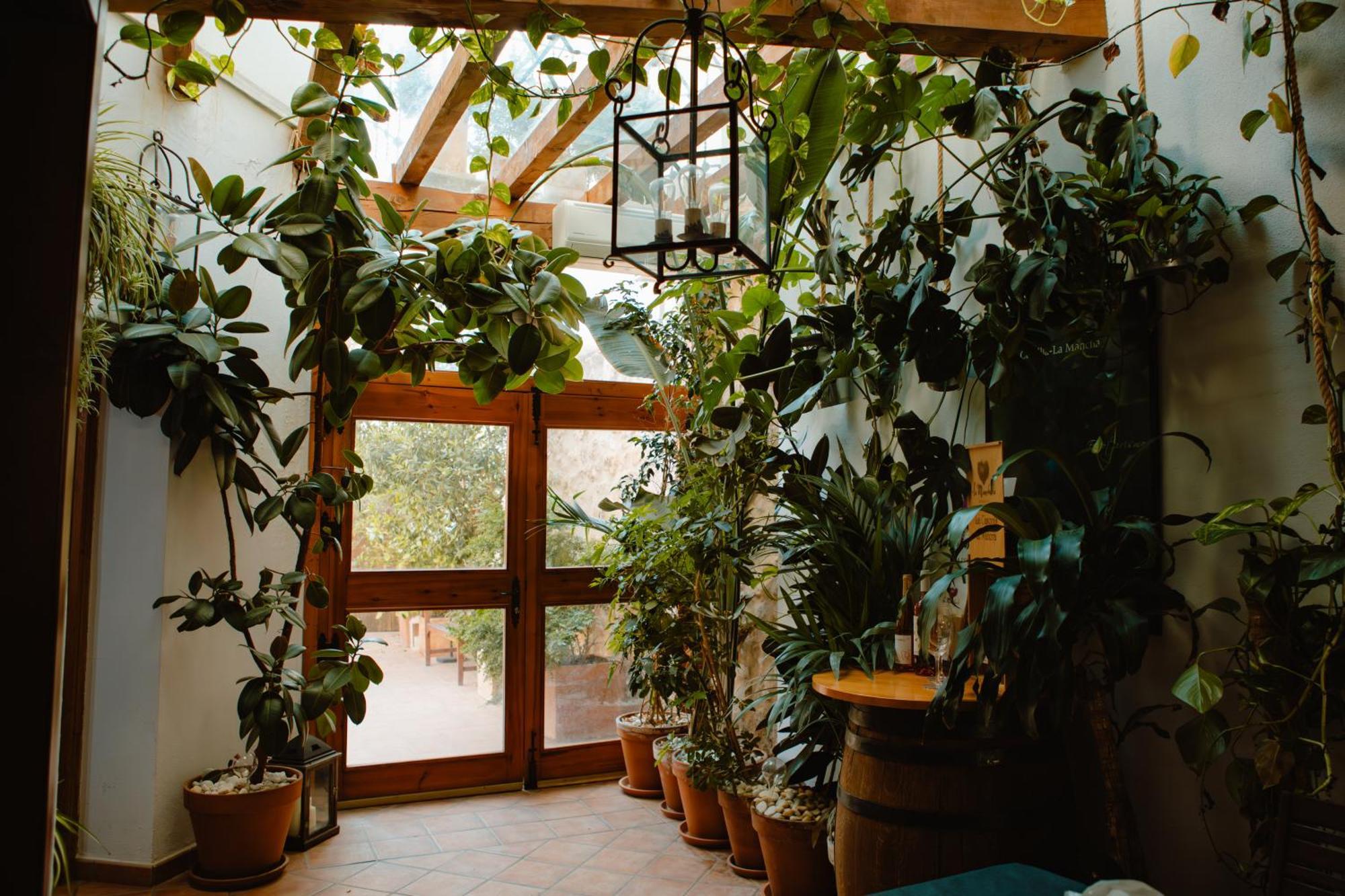 La Casona De Mahora Konuk evi Dış mekan fotoğraf